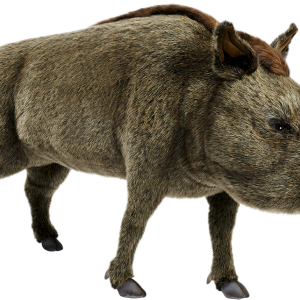 Коллекционная фигурка Наруто